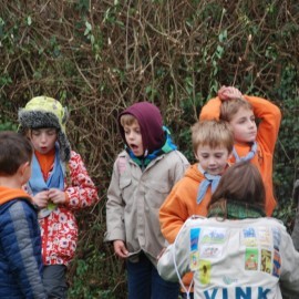DSC 1207 - Scouts en Gidsen Zaventem 